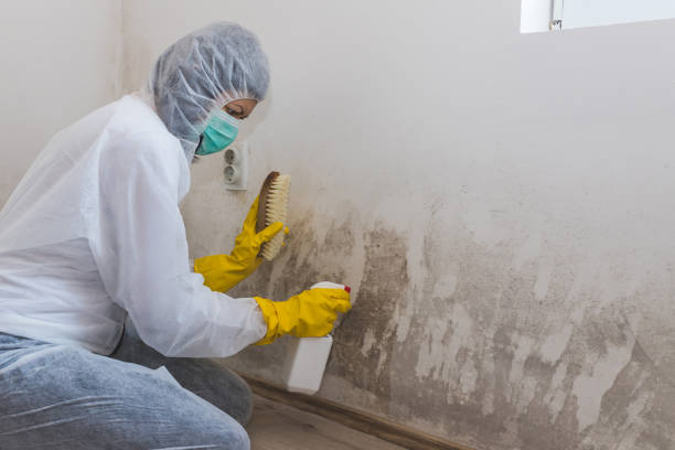 Best Mold Testing  in San Rafael, NM